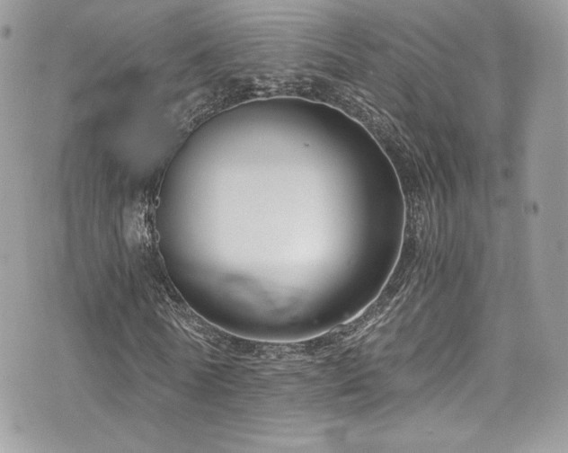 X0000073900770200608111129