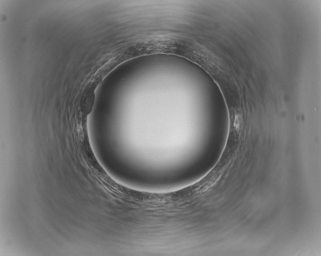 X0000073900771200608111129