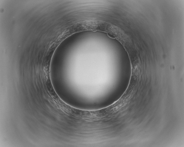 X0000073900772200608111129