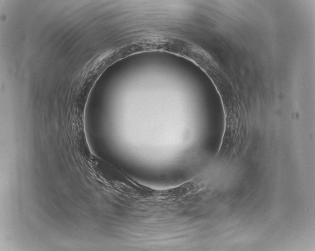 X0000073900773200608111129