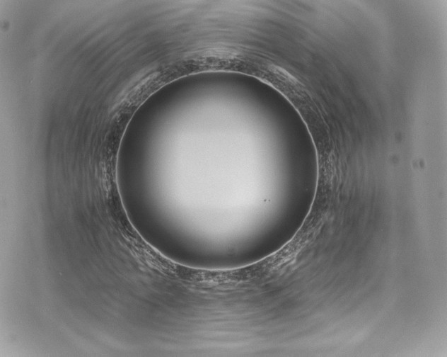 X0000073900774200608111129