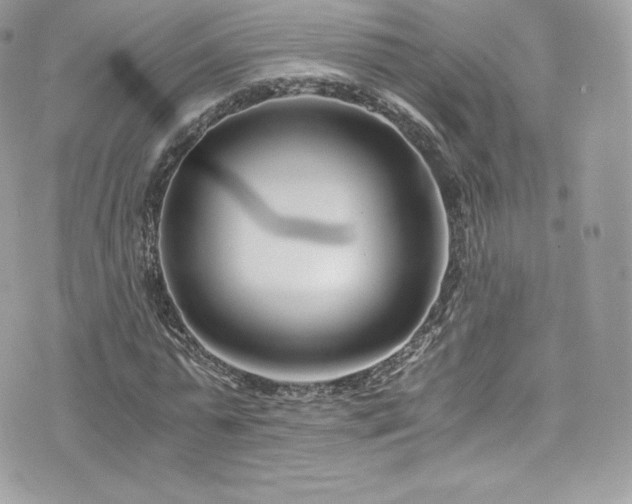 X0000073900775200608111129