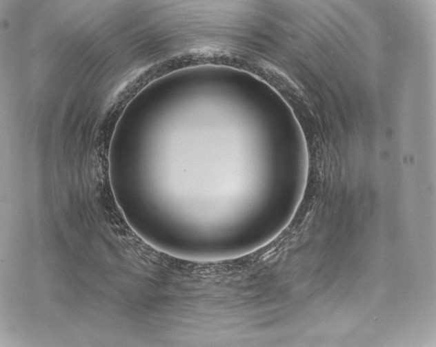 X0000073900776200608111129