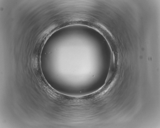 X0000073900777200608111129