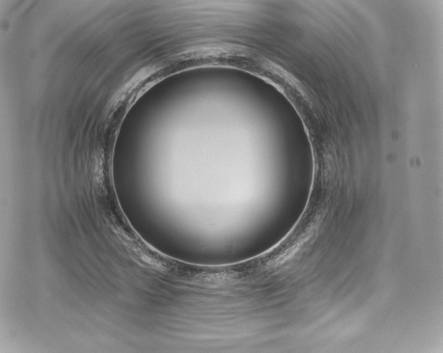 X0000073900778200608111129