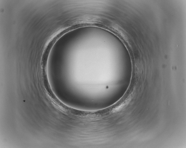 X0000073900779200608111129