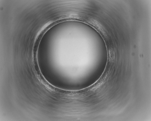 X0000073900780200608111129