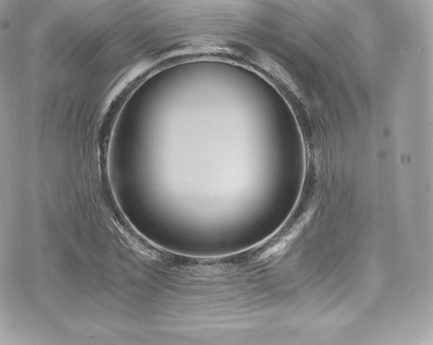 X0000073900781200608111129