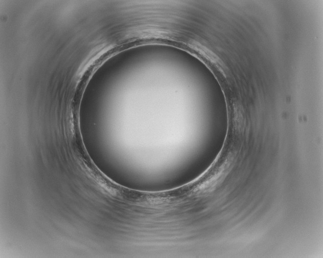 X0000073900782200608111129