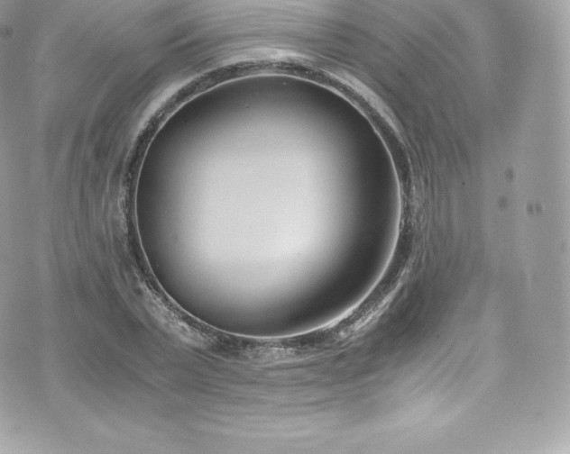 X0000073900783200608111129