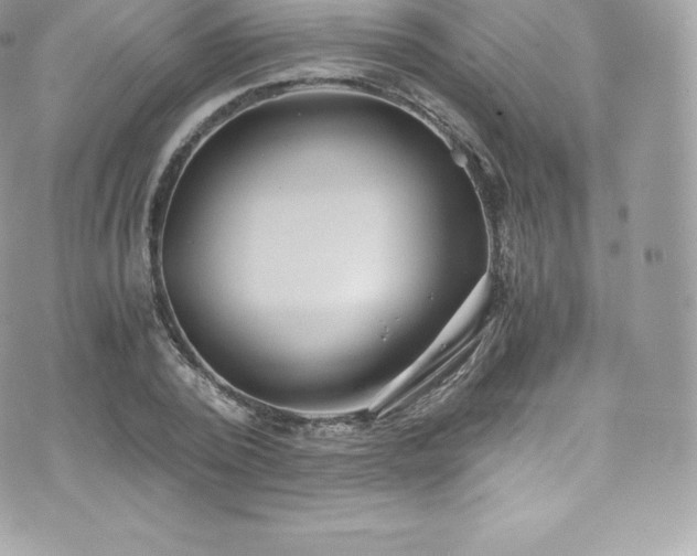 X0000073900784200608111129