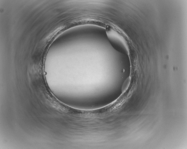 X0000073900785200608111129