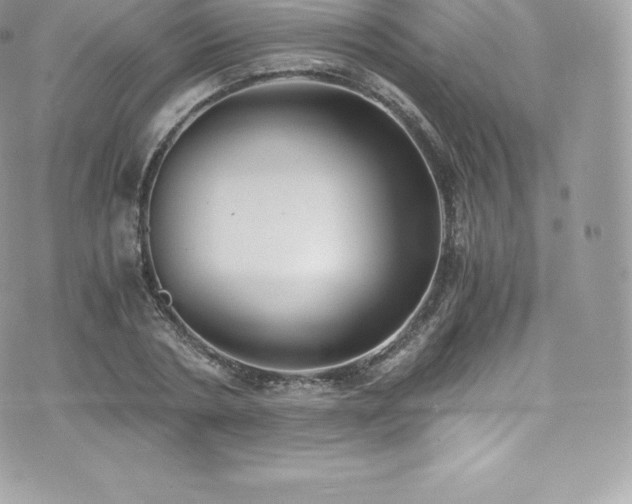 X0000073900786200608111129