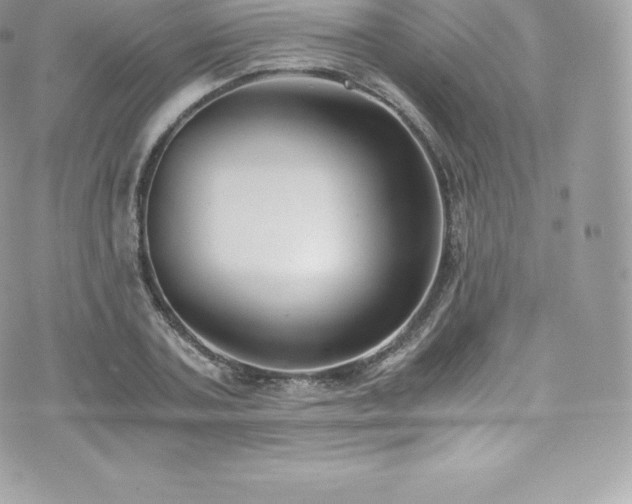 X0000073900787200608111129