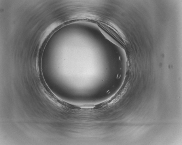 X0000073900788200608111129