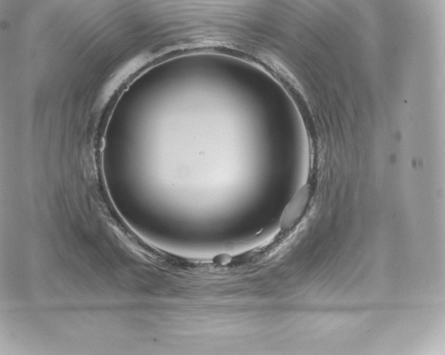 X0000073900789200608111129