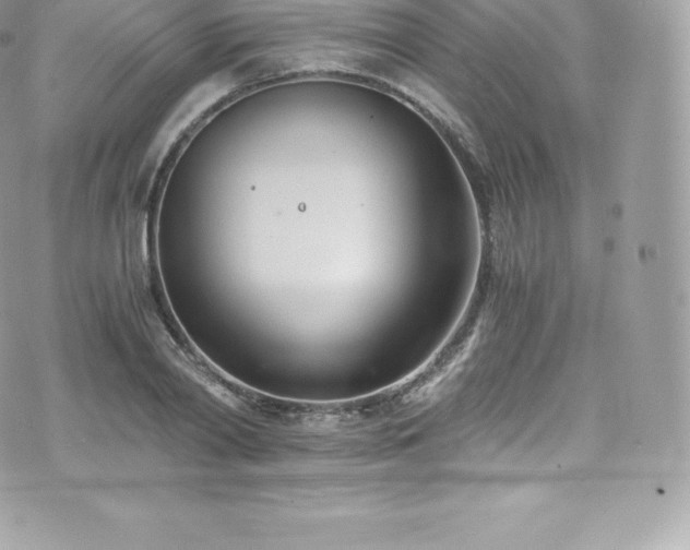 X0000073900790200608111129