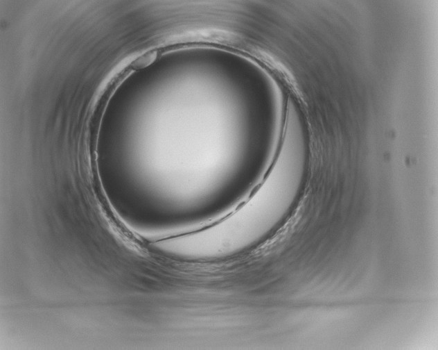 X0000073900792200608111129