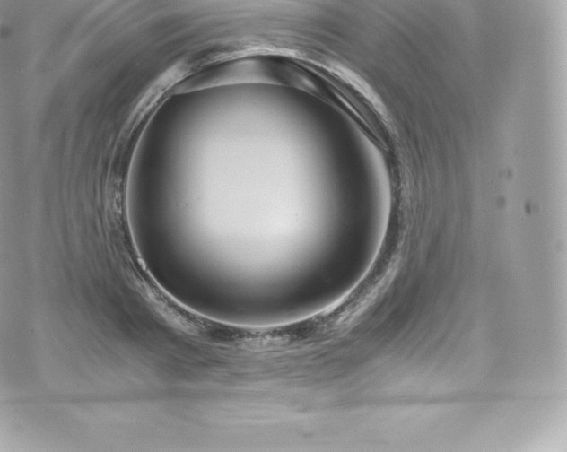 X0000073900793200608111129