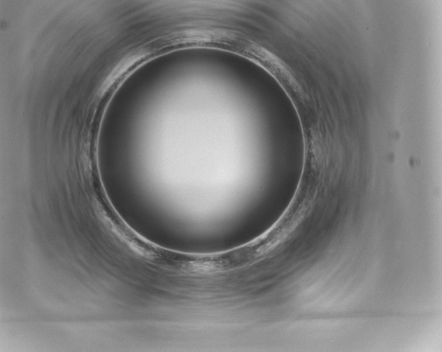 X0000073900794200608111129