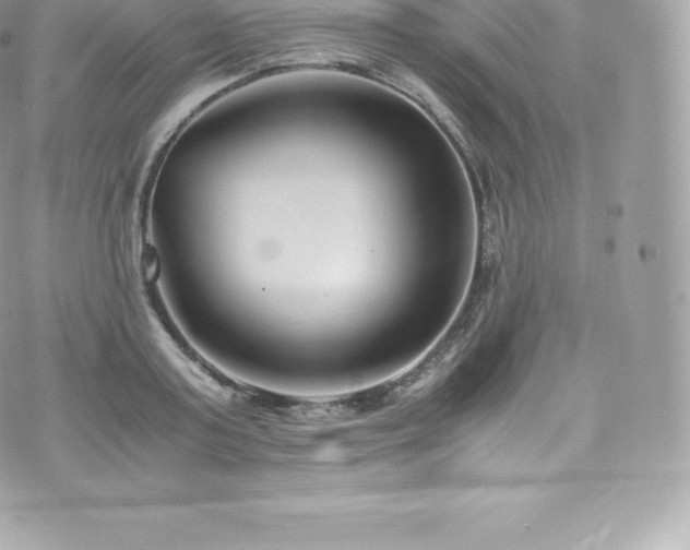 X0000073900795200608111129