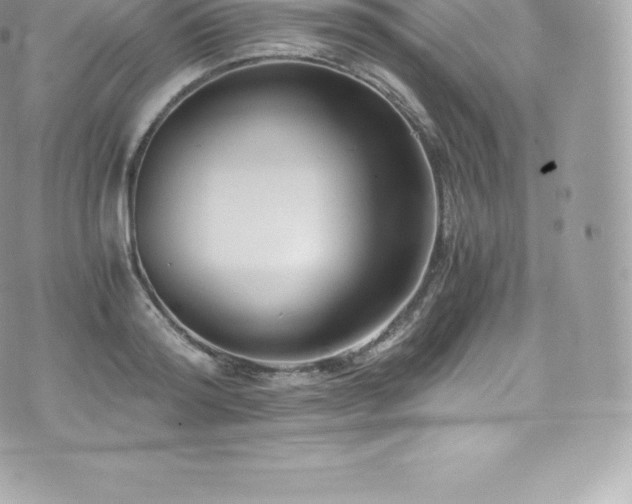 X0000073900796200608111129