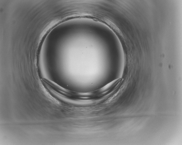 X0000073900797200608111129