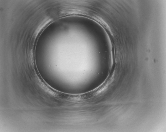 X0000073900798200608111129