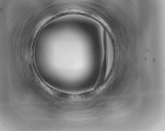 X0000073900799200608111129