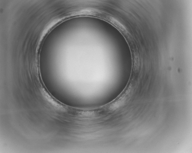 X0000073900800200608111129