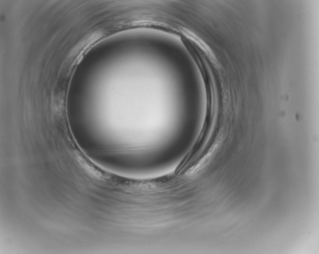 X0000073900801200608111129