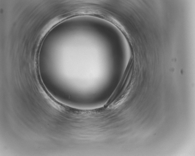 X0000073900803200608111129