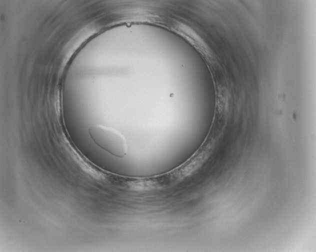 X0000073900804200608111129