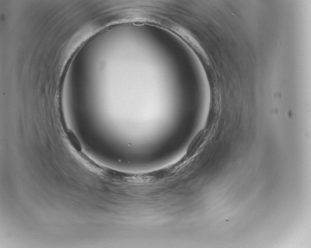 X0000073900805200608111129