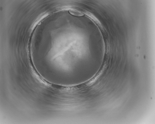 X0000073900806200608111129