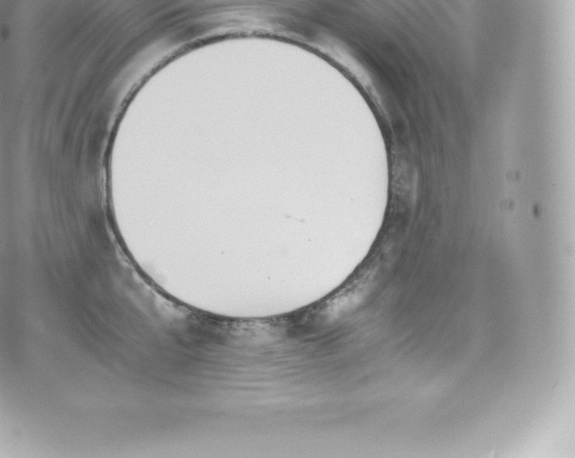 X0000073900807200608111129