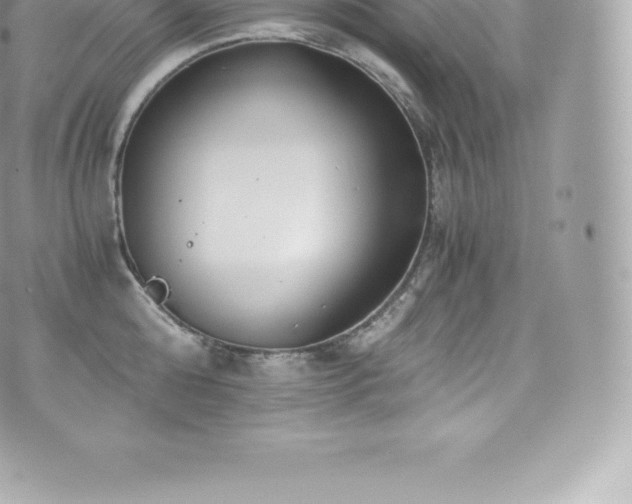 X0000073900808200608111129