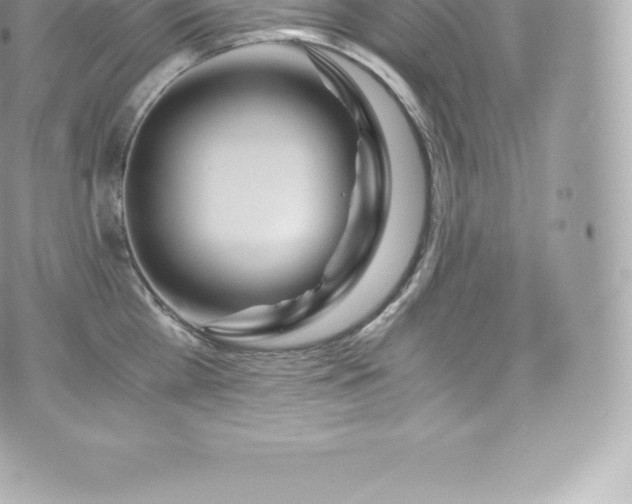 X0000073900809200608111128