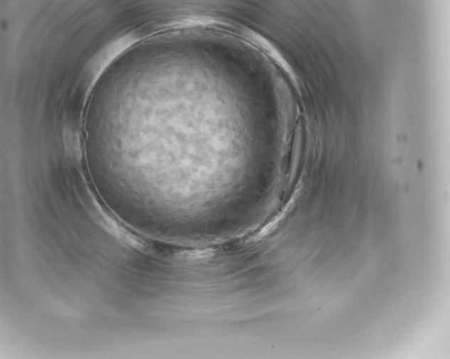 X0000073900810200608111128