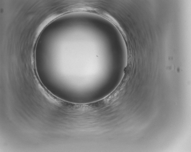 X0000073900811200608111128