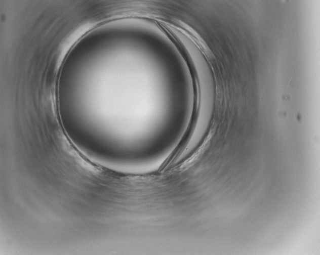 X0000073900812200608111128