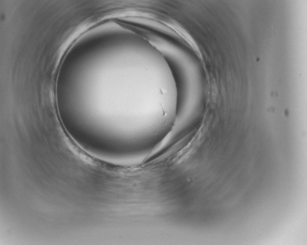 X0000073900813200608111128