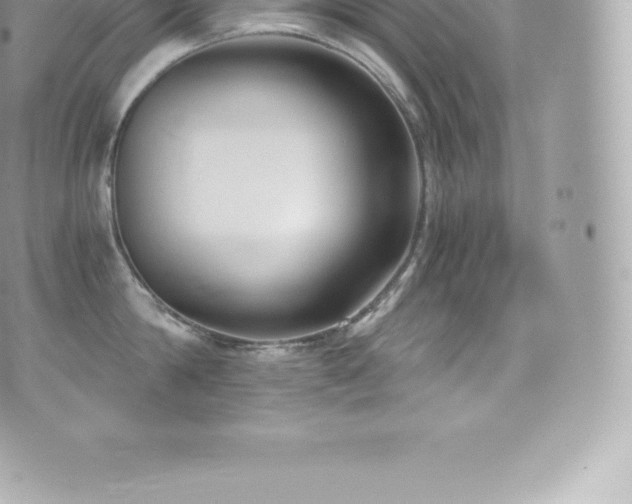 X0000073900814200608111128