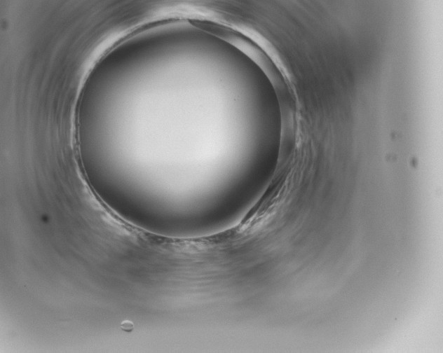 X0000073900815200608111128