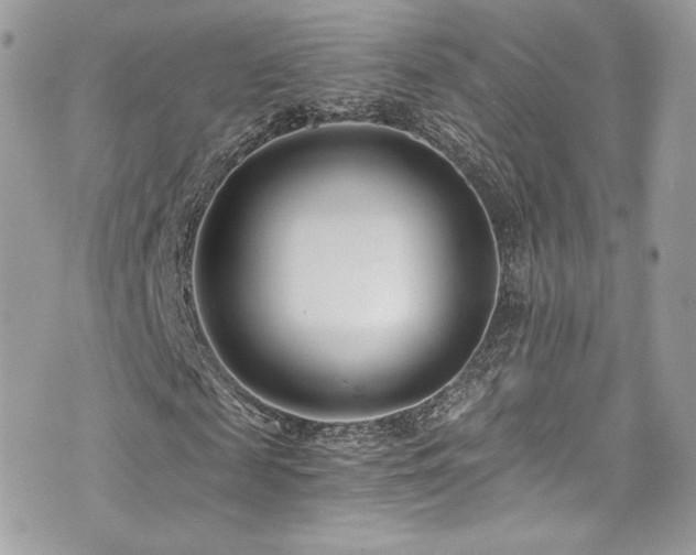 X0000073900817200608111128