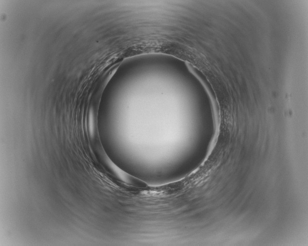 X0000073900818200608111128