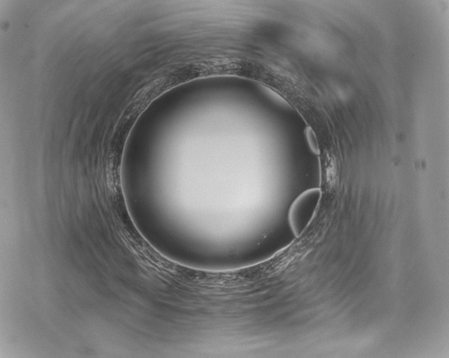 X0000073900819200608111128