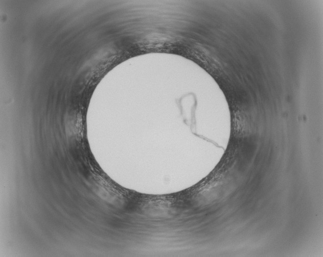 X0000073900820200608111128