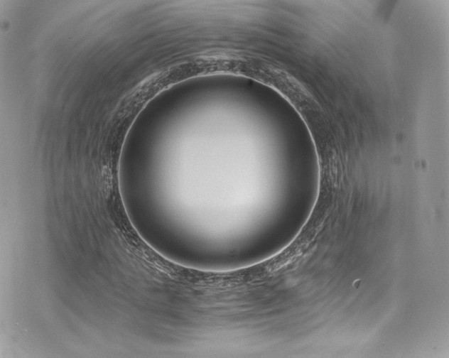 X0000073900821200608111128