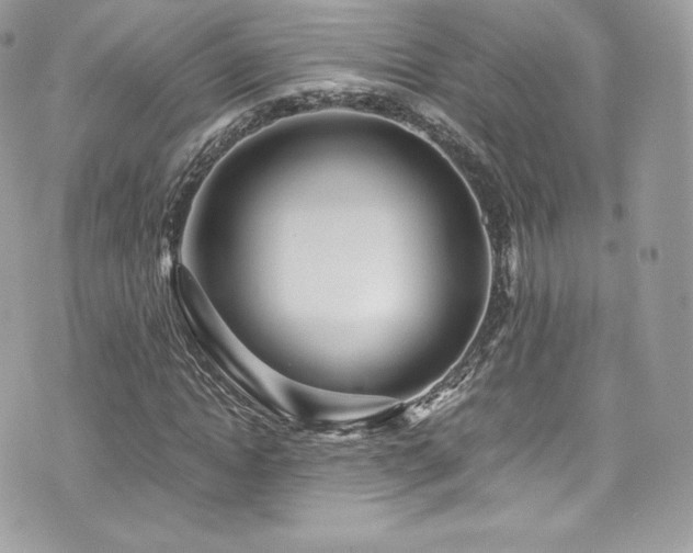 X0000073900822200608111128